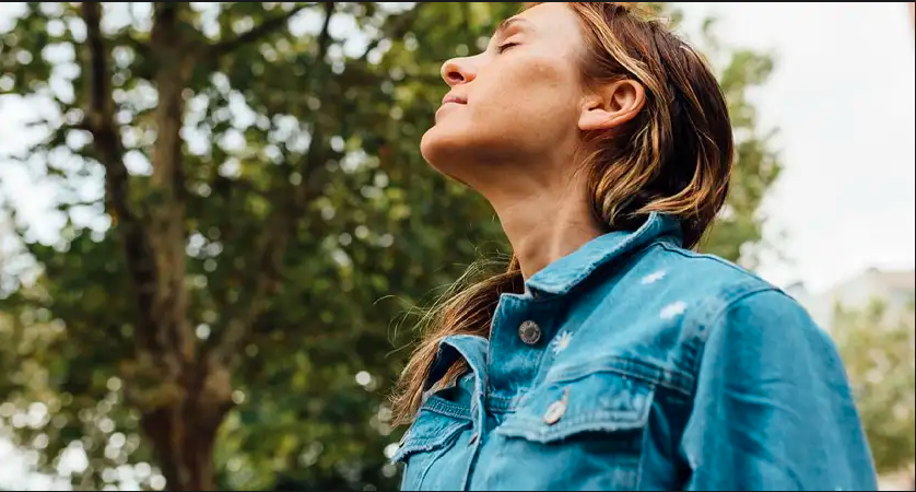 Why Gut Health Is the Missing Link in Your Wellness Routine.png