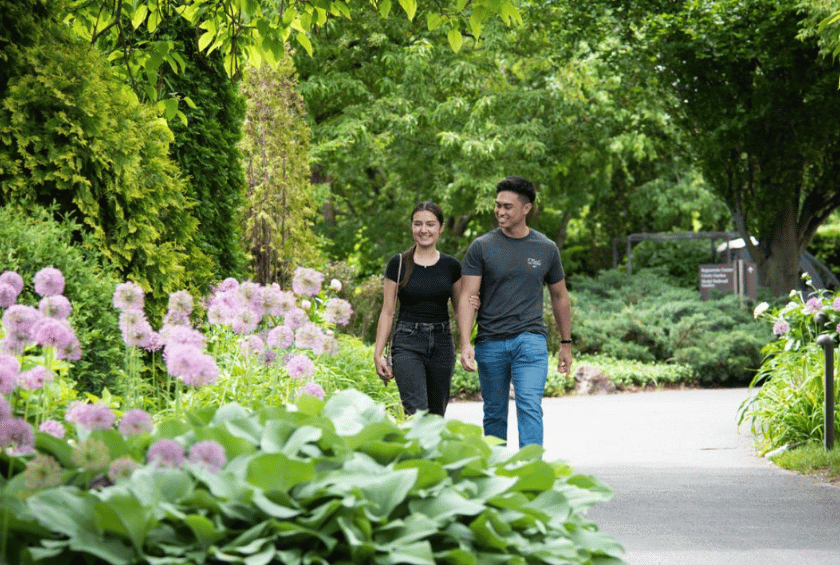 Unveiling The Allure Of A Natural Lifestyle